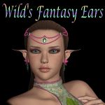 Wild's Fantasy Ears