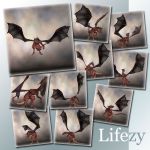 Lifezy: Poses of Millennium Dragon 2: Pack #1