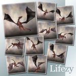 Lifezy: Poses of Millennium Dragon 2: Pack #2
