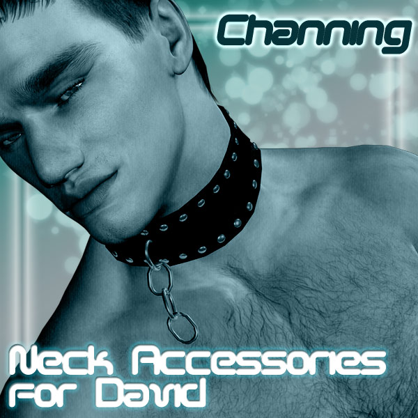 !Neck Accessories for David Combo Pack