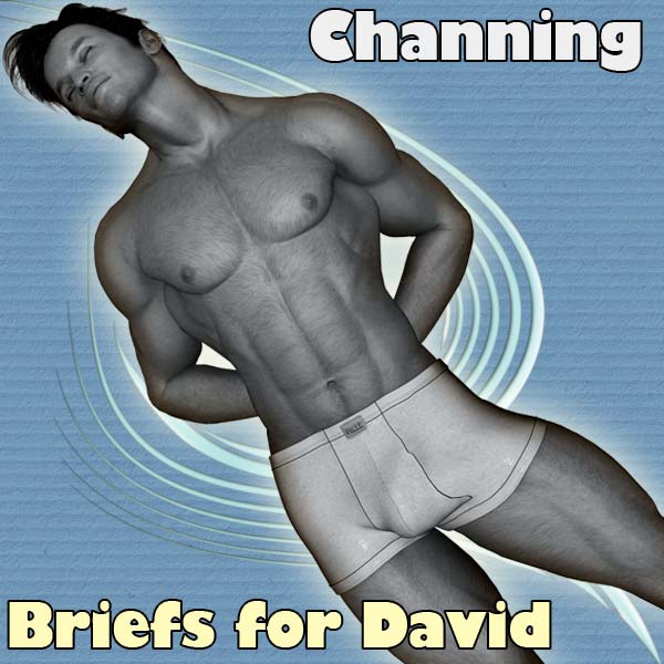 !Channing's Briefs for David