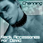 !Channing's Neck Accessories for David