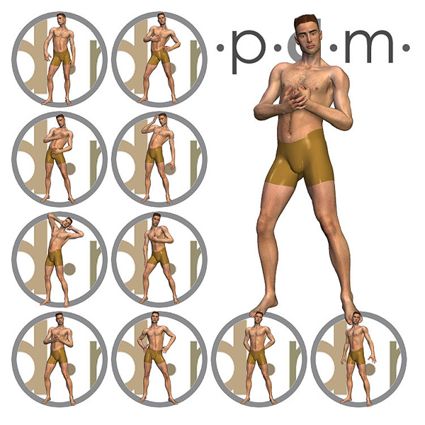 Pdm: M3 Poses 1 Standing