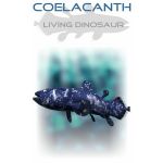 Coelacanth: The Living Vessel