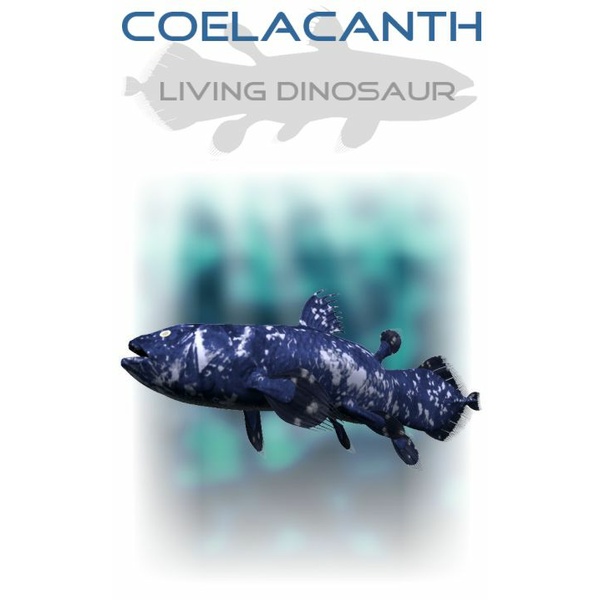 Coelacanth: The Living Vessel