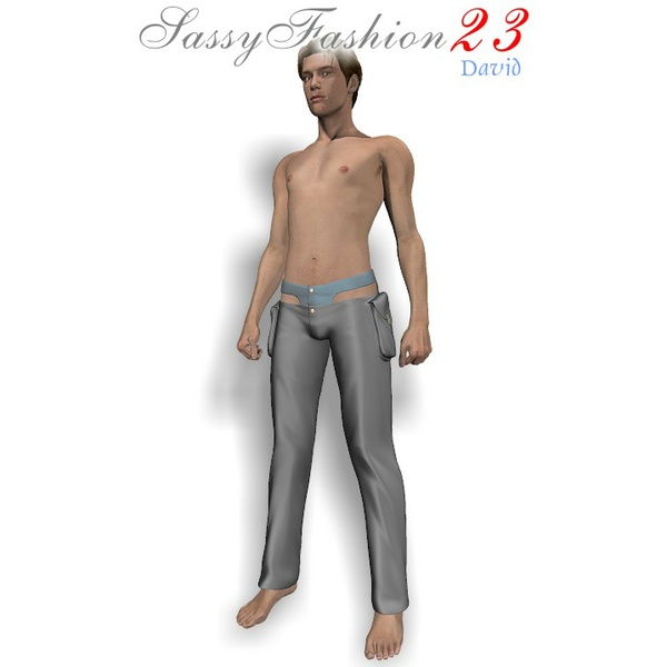 Sassy Fashion: SF23 for David