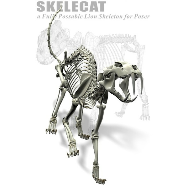 SkeleCat: A Fully Poseable Lion Skeleton for Poser