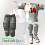 Click for Larger Image