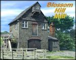 Blossom Hill Mill (Poser)