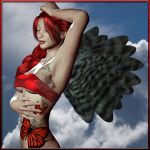 Cherub Wings Cherub Wings