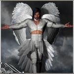 Eclipse Wings Eclipse Wings