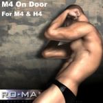 M4 on Door